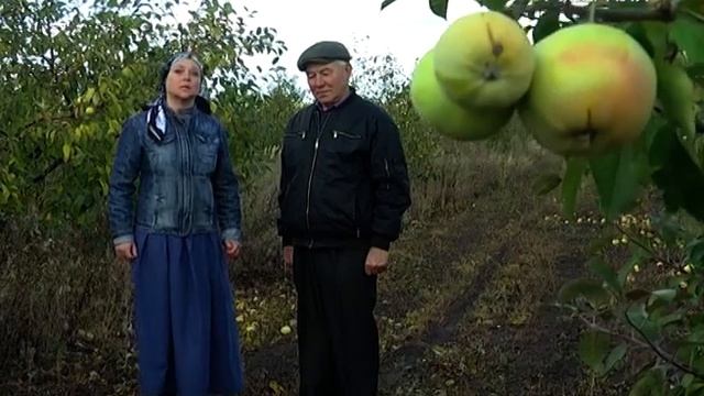 Любимый виноград самарских дачников. Удачные заметки смотреть онлайн