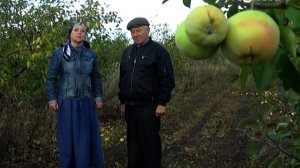 Любимый виноград самарских дачников. Удачные заметки