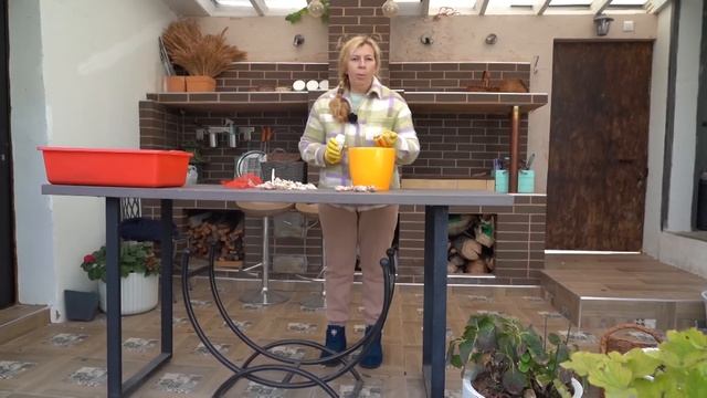 Дачные сезоны с Мариной Рыкалиной от 20 октября 2022 года смотреть онлайн