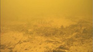 Язь 52 актив. Тест подводной камеры Язь 52 актив зимой.