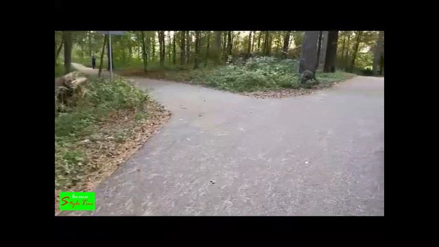 Sparnuotosios supynes. Крылатые качели (на литовском) смотреть онлайн