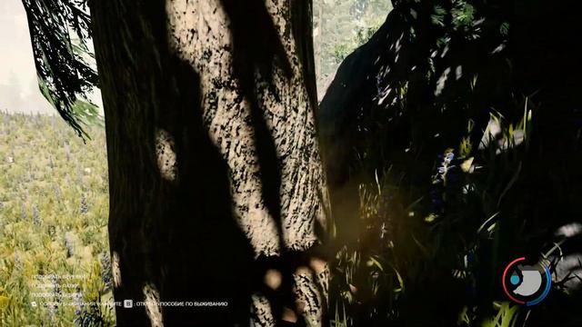 ПЛАВУЧИЙ ДОМ ГОТОВ - THE FOREST #2 смотреть онлайн