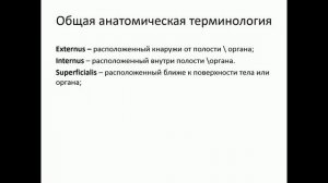 Оси и плоскости. Общая анатомическая терминология