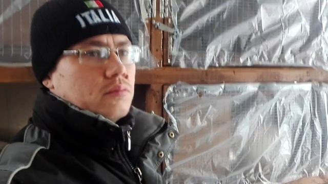 КРОЛИКИ. ЖИВОЙ ВЕС И ТУШКА В ВОЗРАСТЕ 2 МЕСЯЦА смотреть онлайн