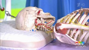 Выбираем подушку. Жить здорово! Фрагмент выпуска от 12.12.2017