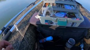 Ну где же ты, Сазан. Рыбалка на Сазана на реке Обь.