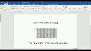 How to type large matrix in word 2016