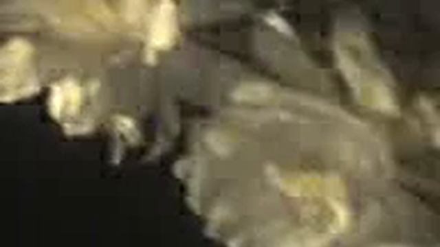 Bloom of strange flowers. смотреть онлайн