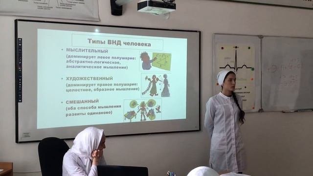 Высшая нервная деятельность