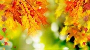Фон для слайдшоу осень FULL HD