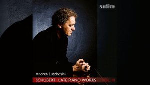 Piano Sonata No. 19 in C Minor, D. 958: IV. Allegro