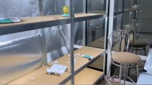 Продолжаю обустройство теплицы.Распаковка. Желтая монстера. Monstera Aurea/Marmorata утепляю теплиц