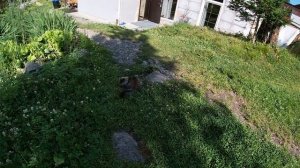 Что делать на Телецком озере и сколько денег надо на отдых?