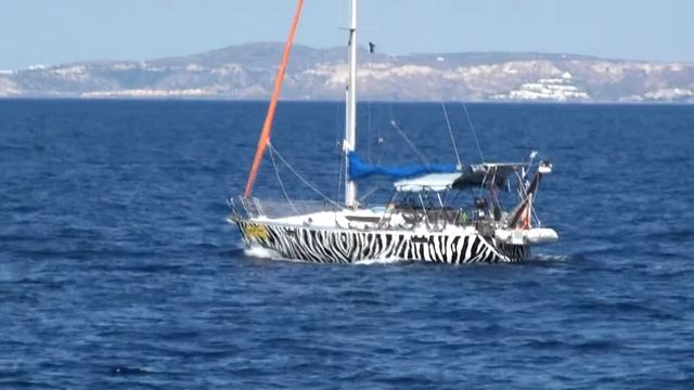 Пиратская яхта зебра Zebra ship смотреть онлайн