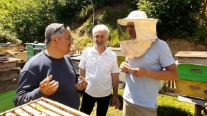 Грузинская горная пасека