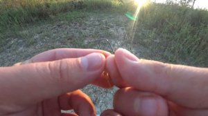 Микроджиг, ловля окуня на ультралайт, рыбалка в Крыму!