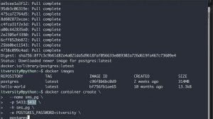 Setup Postgres Database - Setup Postgres using Docker