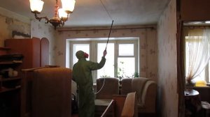 Уничтожение клопов в квартире.
