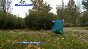 Ребёнок в пакете