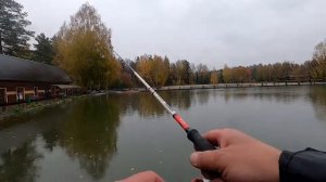 Щука клюнула только на этот воблер с Алиэкспресс