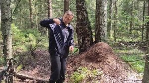 Лайфхак# Как бороться с комарами в лесу эффективно и бесплатно!