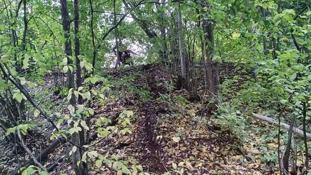 Выезд 10 сентября 2023 года смотреть онлайн