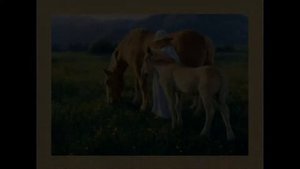 Абрамов Ф. " О чем плачут лошади"