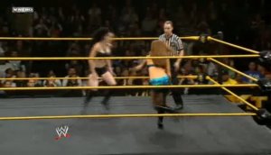 Paige & Sasha Banks vs. Audrey Marie & Summer Rae - NXT 03.04.2013