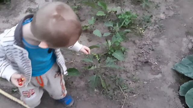 Речь ребенка в 2 года 8 месяцев. Немного геометрии и танцев?