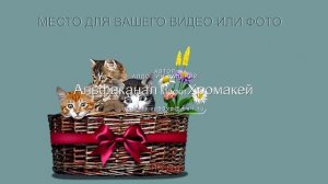 123.  Котята(цикл)