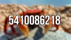 Crab Rave Roblox ID (WORKING JUNE 2022)
