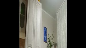 115. Маленькая комната 18 м