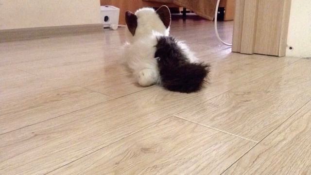 Тайная жизнь домашних животных часть 1 смотреть онлайн