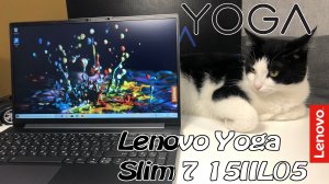 Обзор с котиком - Lenovo Yoga Slim 7 15IIL05 (82AA0029RU)