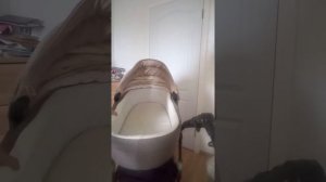 Коляска Адамекс Галактик лен 2 в 1