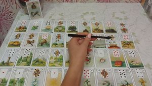 Значение карты МЕТЛА /ПЛЕТКИ в БРЛ ?какие значения несёт карта МЕТЛА когда попадает в другой дом