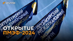 Церемония открытия ПМЭФ-2024 в Санкт-Петербурге