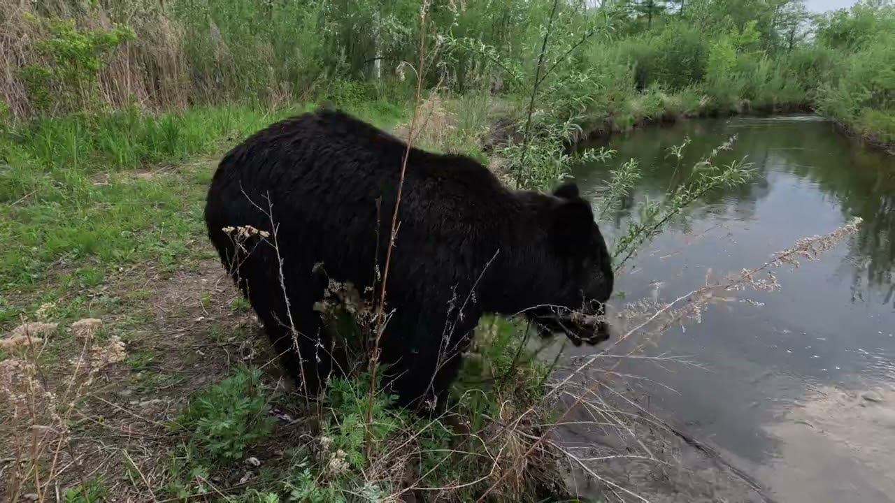 Уроки жизни.