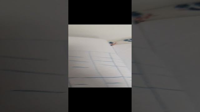 Игровая книга Мисс циркуль.mp4