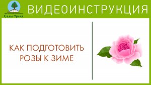 Розы - подготовка к зиме. Телепередача Земля Уральская. Архив 2011 год