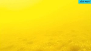 КВХ залив Сарагаш (подводное видео 4 метра)