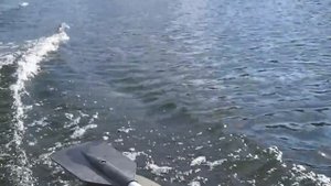 Мотор TOHATSU 3.5 и лодка NORDIK 280