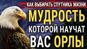 Как Орлица Выбирает Себе ОРЛА для орлят? Мудрость, которой важно научиться у ОРЛОВ!