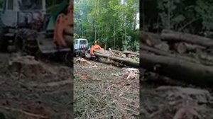 Скидер захват трелевочный ЗТ 250 трактор Т 150К Скидер (+7 925 589 65 90)