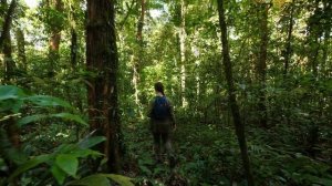 Brazil for kids – an amazing and quick guide to Brazil