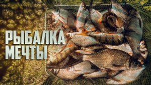 24 часа на рыбалке мечты | супер клев | готовим оленину