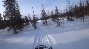 Снегоход Polaris widetrak lx с двс к6а в лесу