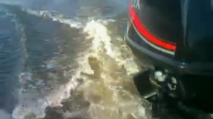 лодочный мотор HDX 2.5 и Фрегат 260