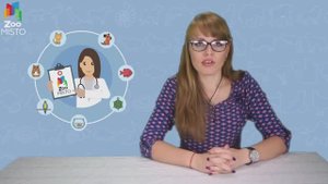 Конъюнктивит у кошек. Советы ветеринара
