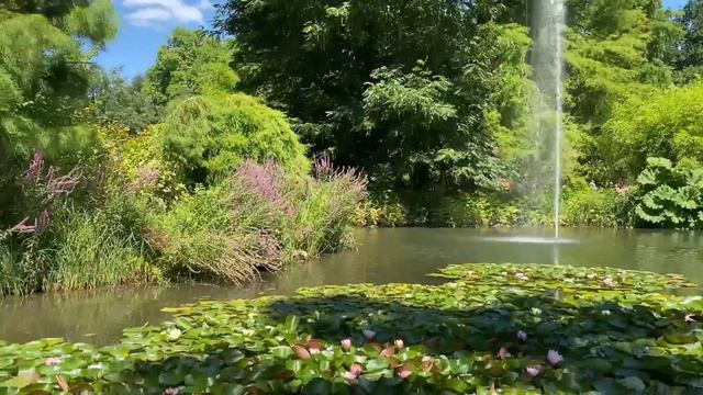 The Charm and Beauty of the Island Mainau at Lake Bodensee in Germany смотреть онлайн